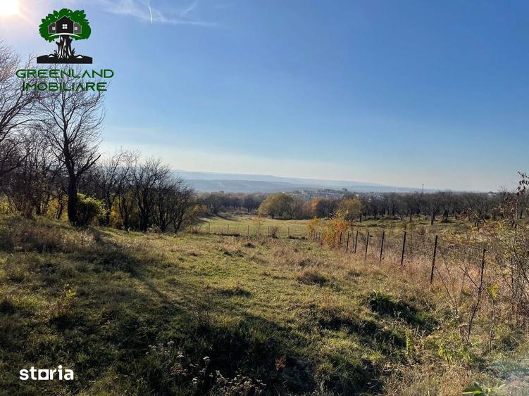 Teren intravilan 560 mp, Barnova-Pietrarie - 6