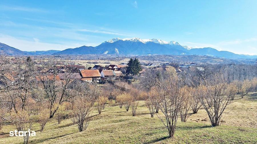 Teren de 17000 mp, în Central