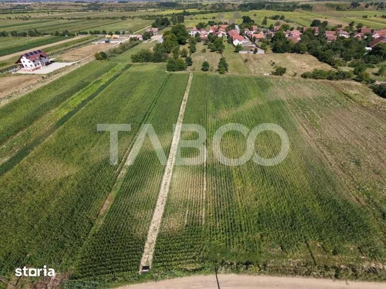 Teren de 3150 mp, în Șercaia