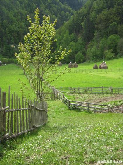 Teren de 2800 mp, în Dâmbovicioara