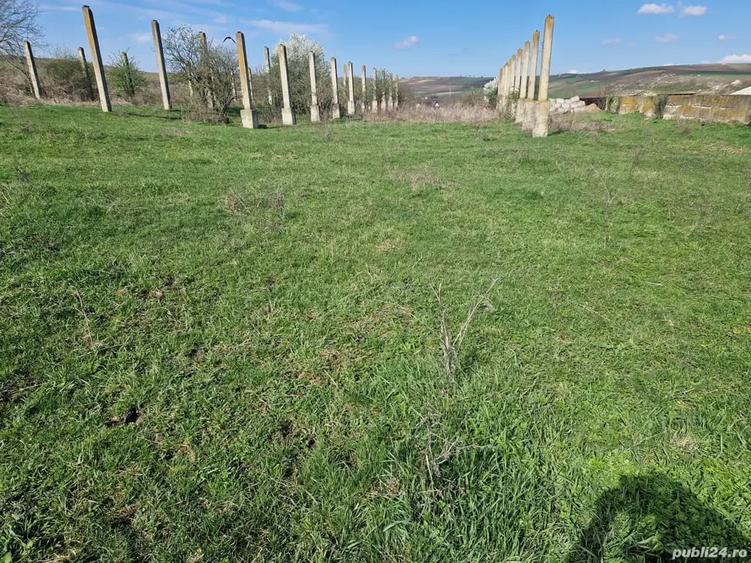 Teren de 15000 mp, în Cămărașu