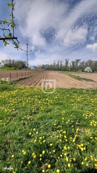 Casa 5 camere, 2.800 mp teren, Darmanesti 13 km Suceava - 12
