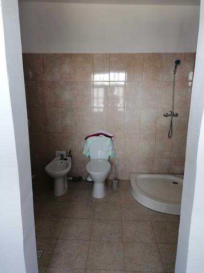 Casă cu 3 camere cu Teren 5000 Mp în Scorțaru Vechi