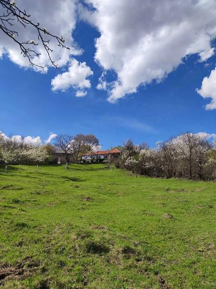 Casă cu 1 camere cu Teren 1500 Mp în Central