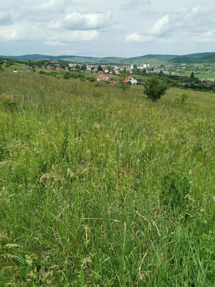 Teren de 2900 mp, în Aghireșu