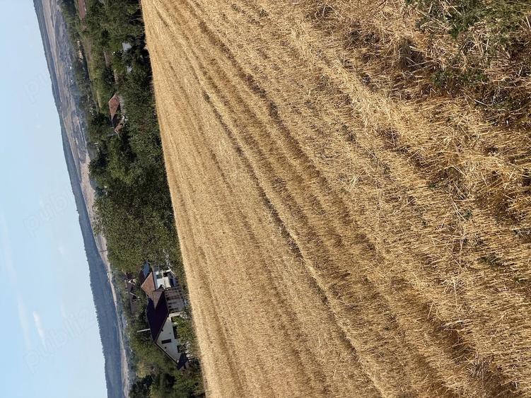 Teren intravilan 2.700 mp, Sacadat, panorama, utilita?i, 25 m front - 1