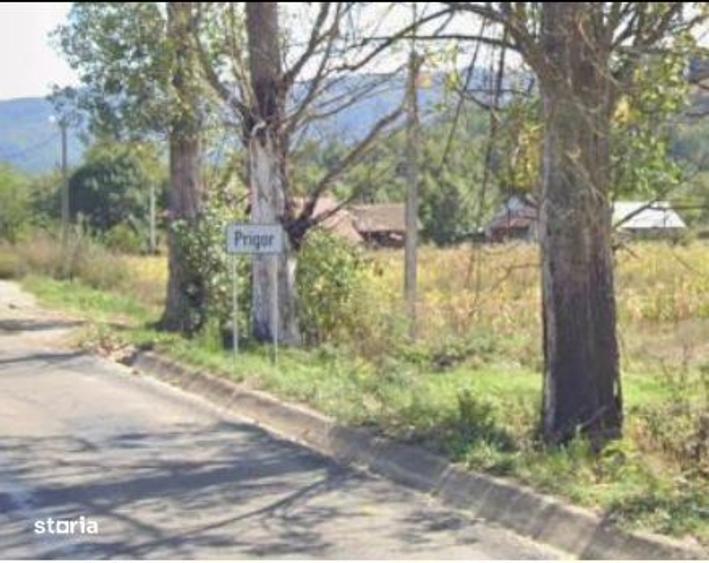-teren extravilan, com. Prigor, jud. Caras-Severin - 5