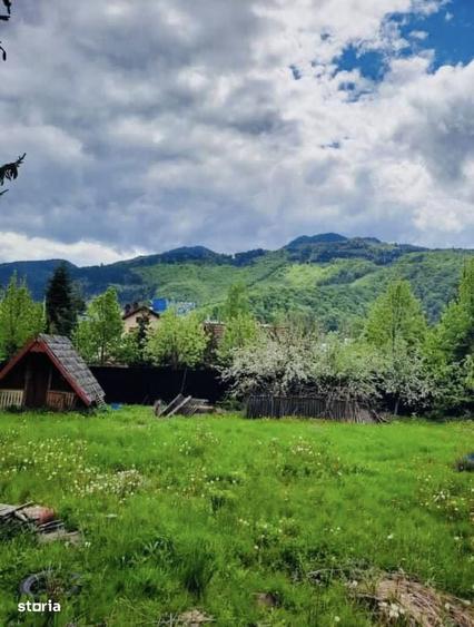 Teren intravilan 800 mp Darste Brasov - 5