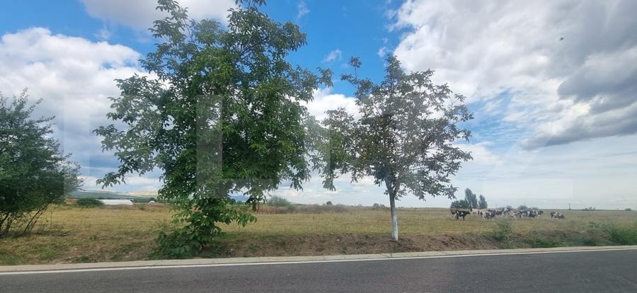 Teren agricol intravilan de 5000 mp, în Vadu Săpat
