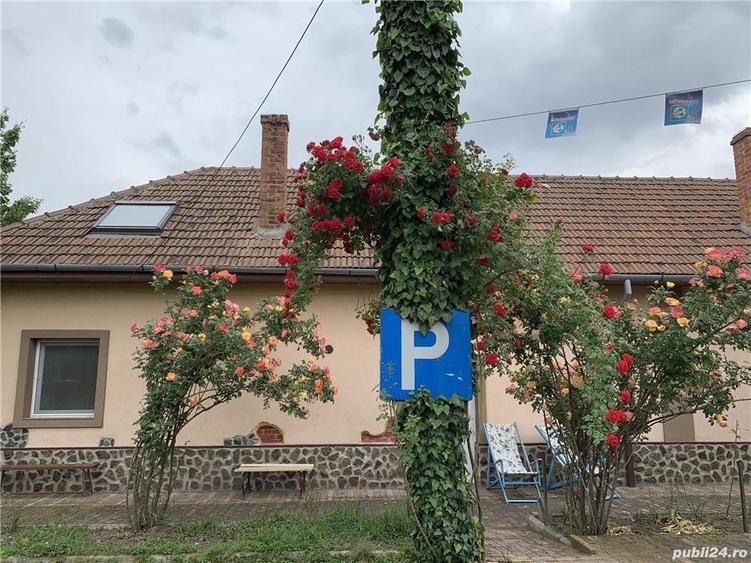 Teren în Central