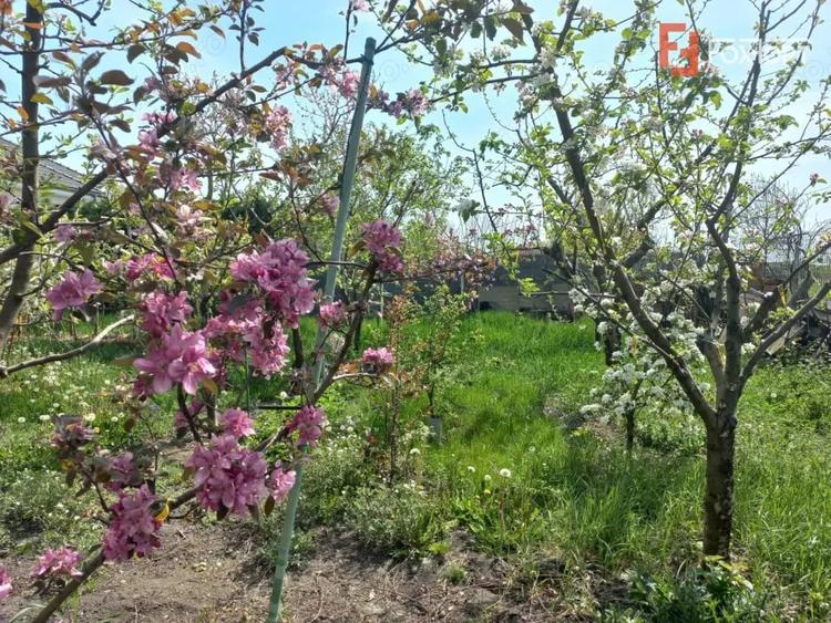 Casă cu 5 camere cu Teren 805 Mp în Giarmata