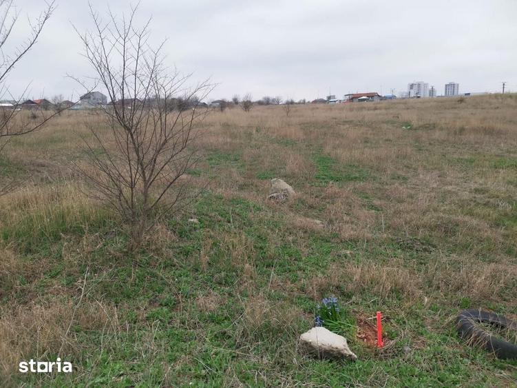 TEREN INTRAVILAN 306 mp Palazu Mare, Constanta - Ocazie Unica - 4