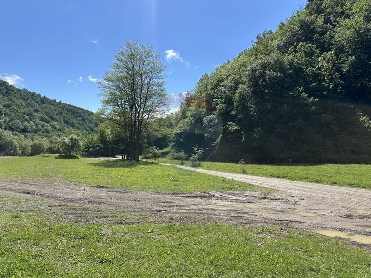 Teren Construcții intravilan de 1340 mp, în Cuejdiu
