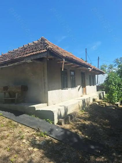 Casă cu 2 camere cu Teren 3100 Mp în Central