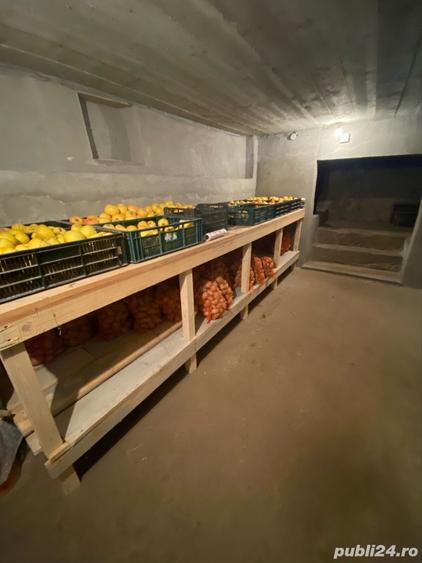 Casă cu 2 camere cu Teren 2200 Mp în Gostavățu