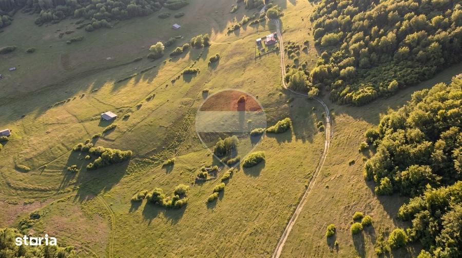 Teren intravilan|813 mp|Ciocanu, Arges|Priveliste spectaculoasa - 5