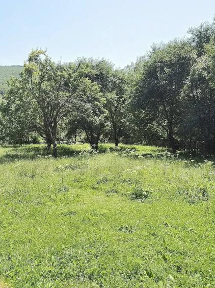 Teren de 6344 mp, în Seciu