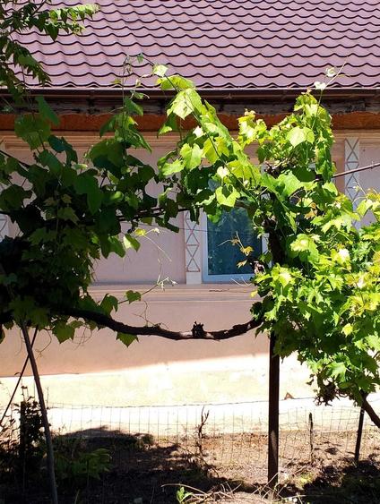 Casă cu 3 camere cu Canalizare în Făcăeni
