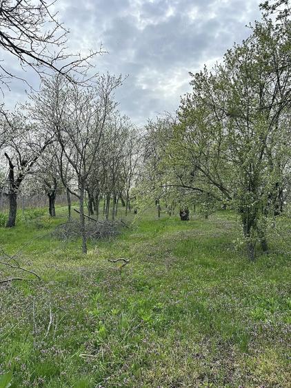 Teren de 7491 mp, în Găiseanca