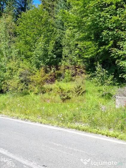 Teren de vanzare in zona Cota 1000 Sinaia - 2
