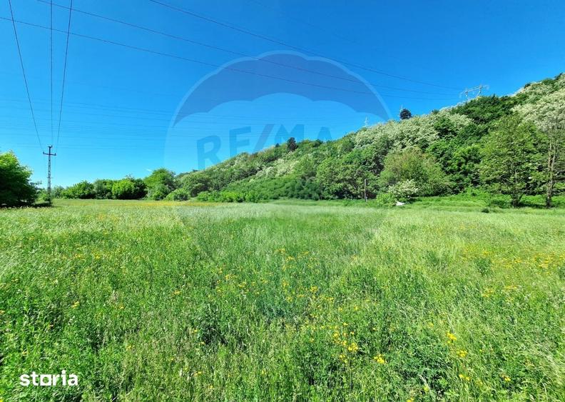 Teren de 8500 mp, în Cașin
