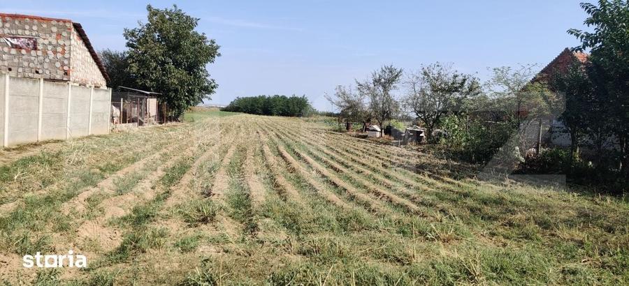 Teren de 2707 mp, în Belinț