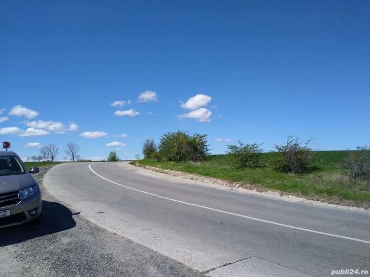 Teren de 17800 mp, în Mischii