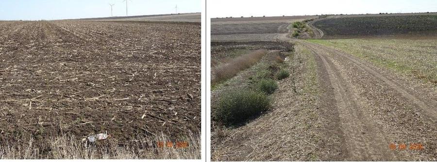 Teren extravilna Cota parte 1/16, CObadin, ID: R2782865 - 4