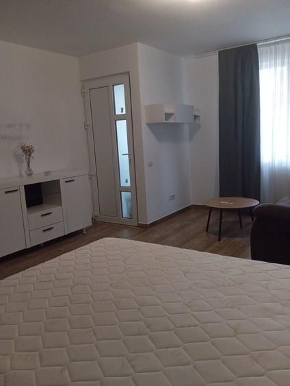 Studio cu gradina si terasa - 5