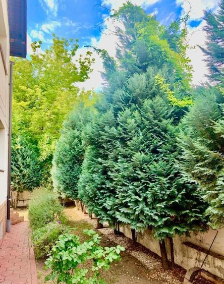 Casă cu 5 camere cu Teren 300 Mp în Brâncoveanu