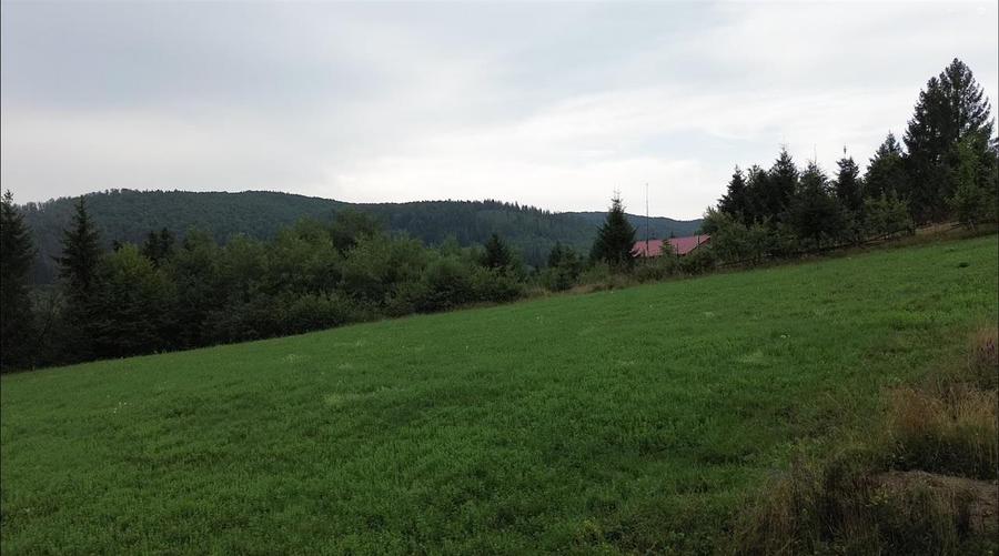 Teren Construcții intravilan de 5023 mp, în Voroneț