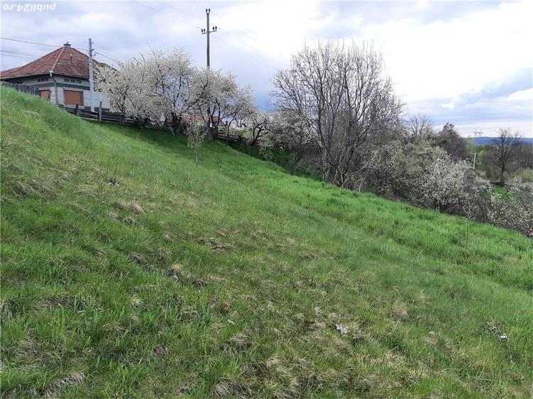 Teren de 1017 mp, în Arpașu de Sus