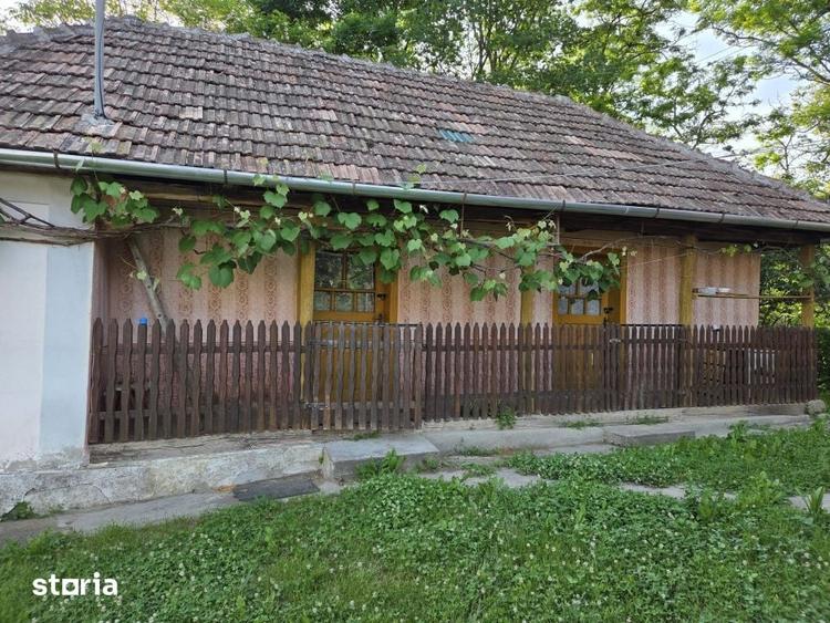 Casă cu 3 camere cu Teren 3600 Mp în Bicaz