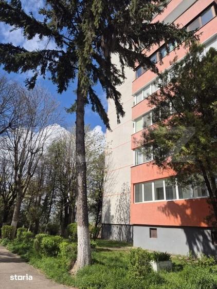Apartament cu 3 camere, 60 mp, Dambu Pietros - 2