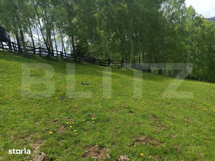 Teren de 4649 mp, în Peștera