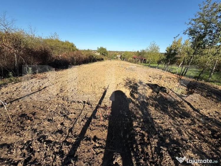 Teren intravilan, 2406 mp, zona Viile Satu Mare - Viile Satu Mare (Satu-Mare) - 1