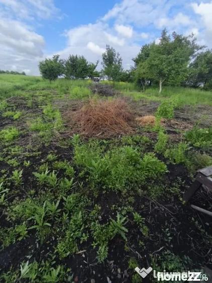 Casă cu 4 camere cu Teren 6000 Mp în Negostina