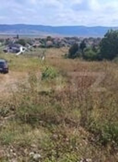 Teren Construcții intravilan de 2358 mp, în Luna