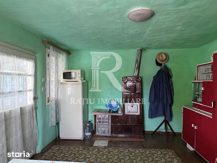 Casă cu 1 camere cu Teren 3000 Mp în Copăcel