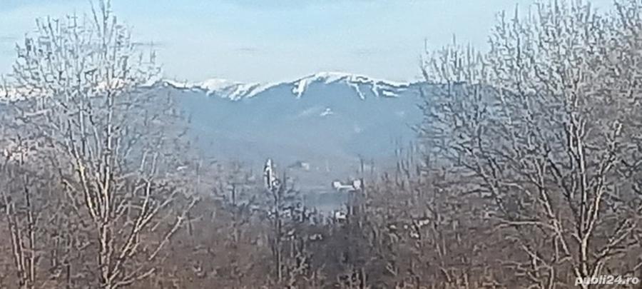 Teren în Albești