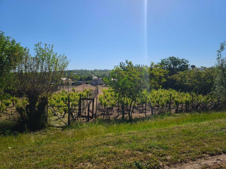 Casă cu 4 camere în Peceneaga