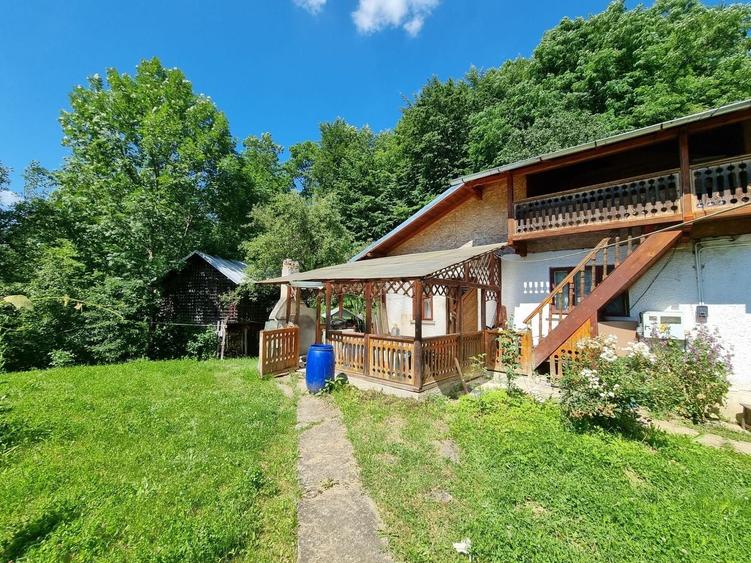 Casă individuală cu 3 camere cu Teren 5000 Mp în Plaiu (Provița de Sus)