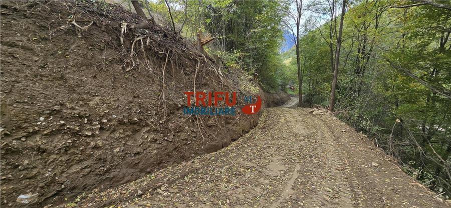 Teren intravilan de 15000 mp, în Râmeț