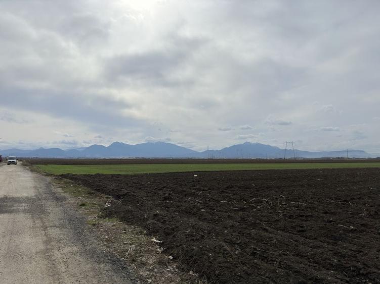 Teren de 33500 mp, în Hărman