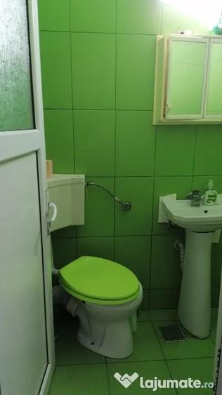 Garsonieră în Terezian