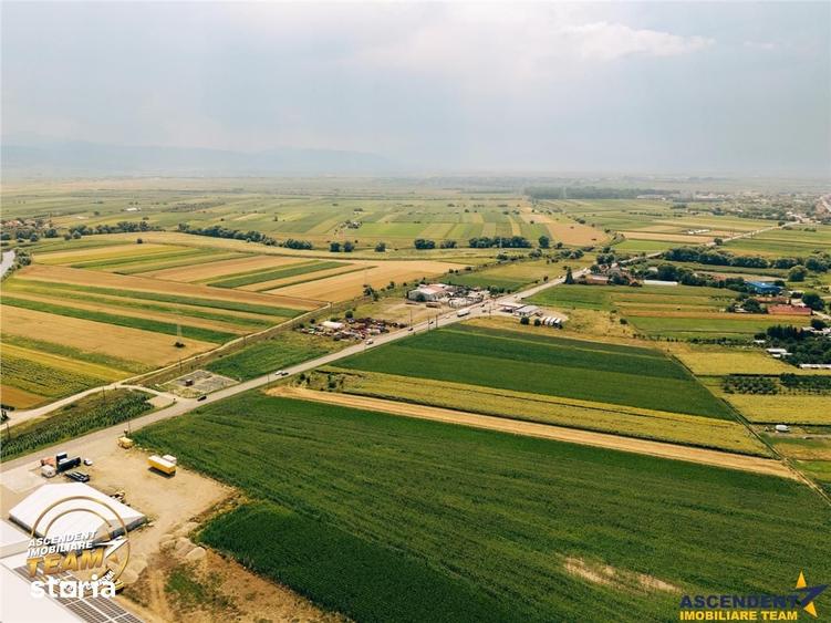 7.000 mp teren industrial premium la DN11, acces TIR, post trafo, Bras - 6