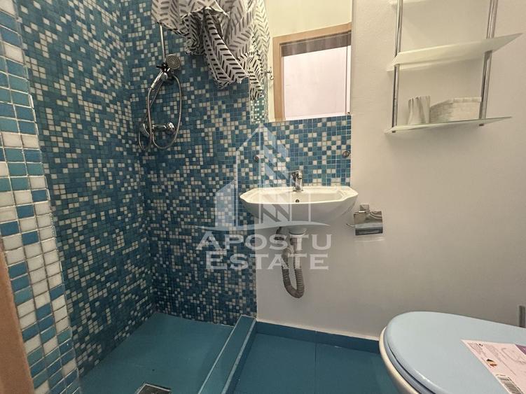 Apartament 1 camera de inchiriat, zona centrala Timisoara - 5