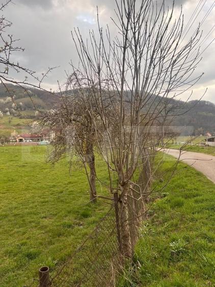 Teren Construcții intravilan de 1200 mp, în Șuncuiuș