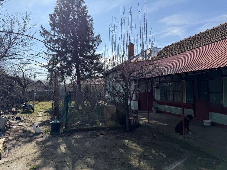 Casă cu 4 camere în Viișoara
