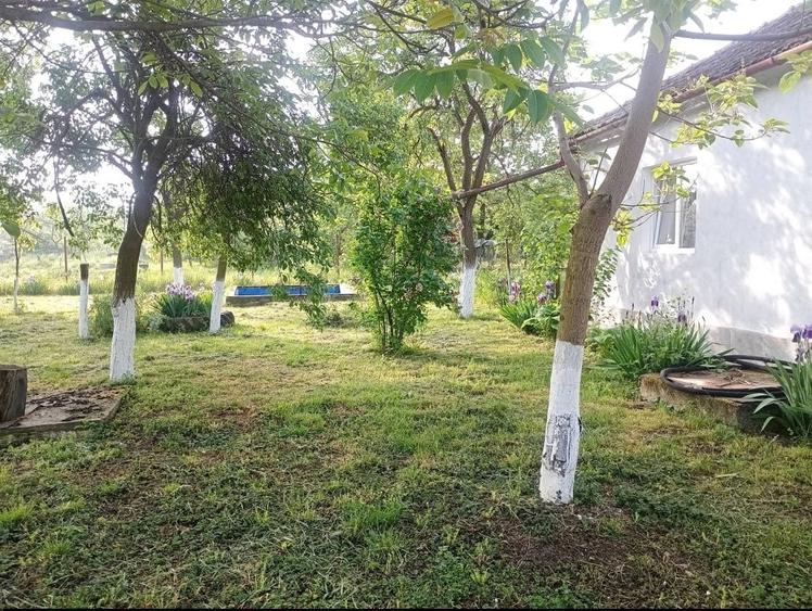 Casă cu 4 camere în Aluniș